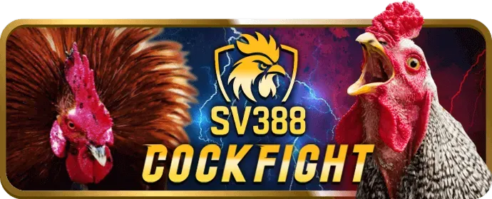 Hỗ trợ khách hàng 24/7 Ho88